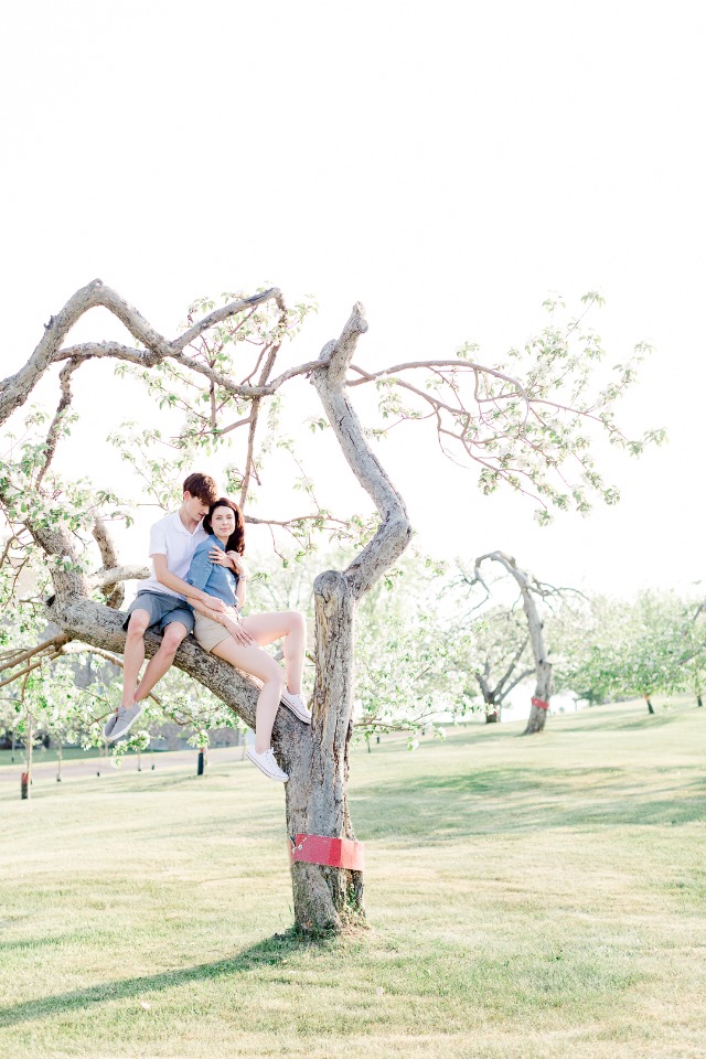 Surprise engagement in an orchard