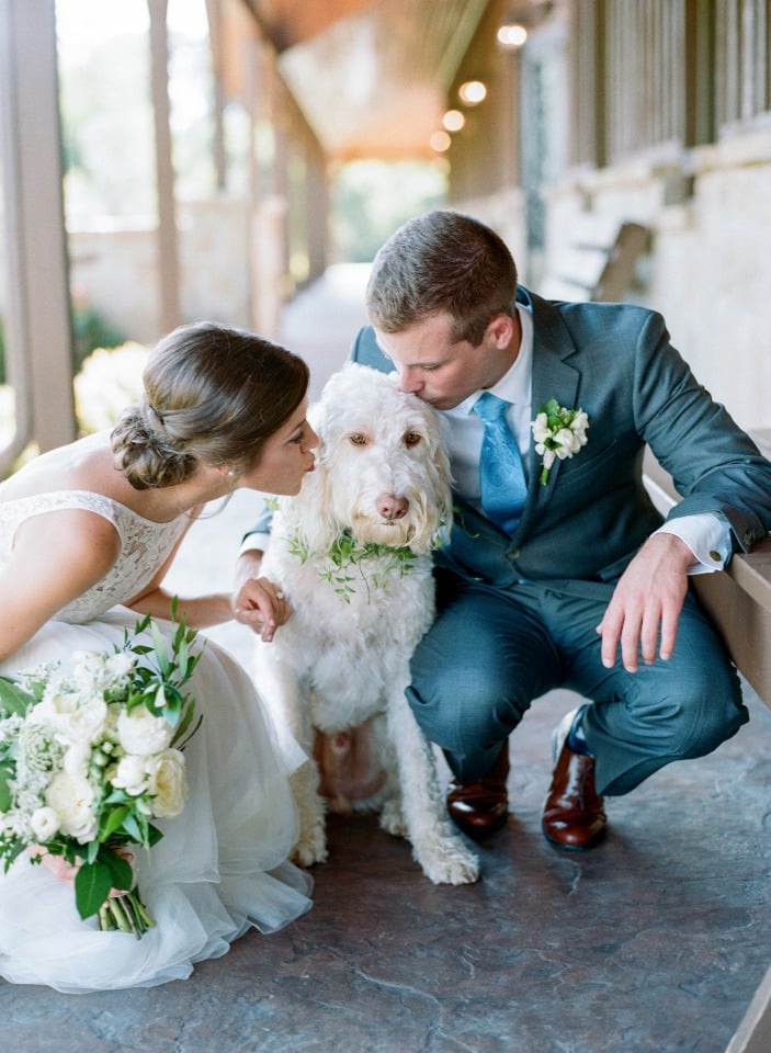 Wedding pup