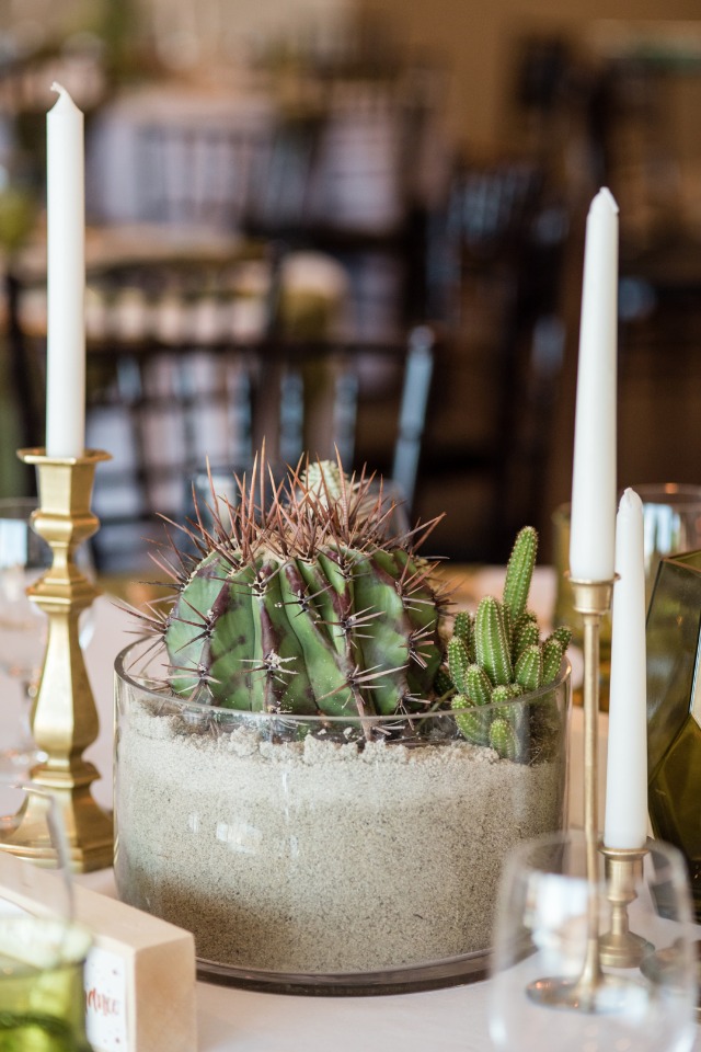 Cacti and sand centerpiece