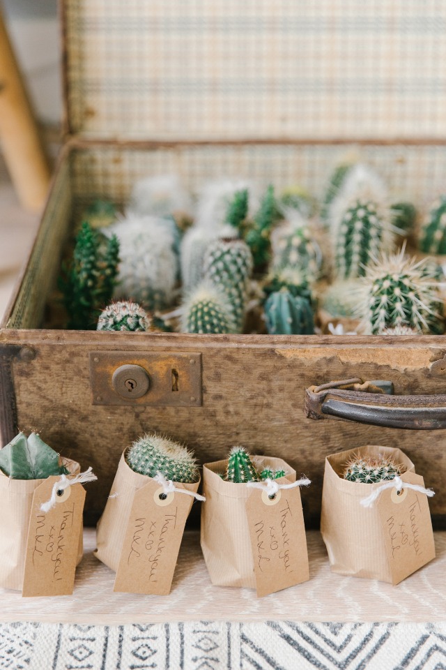 mini cactus wedding favors