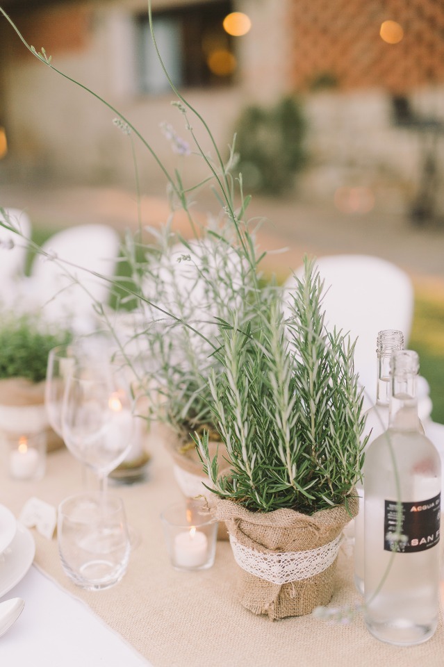 Elegant table setting with rosemary plants and candles