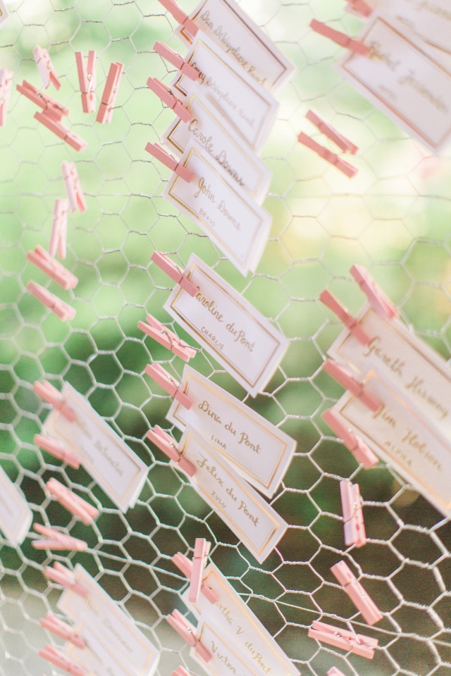 chicken wire and mini clothes pin displayed escort cards