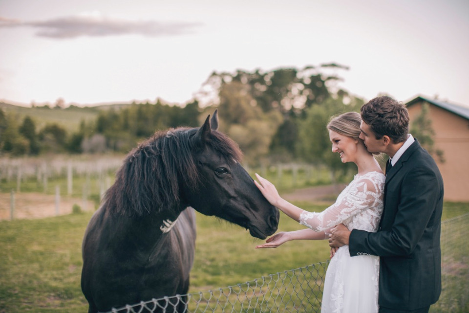 farm wedding venue with horses
