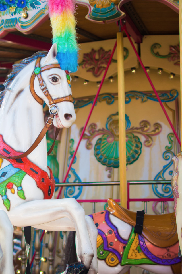 county fair carousel horse