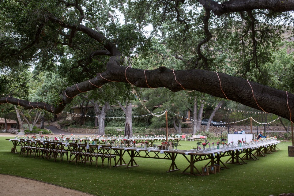 old oak tree shaded wedding reception