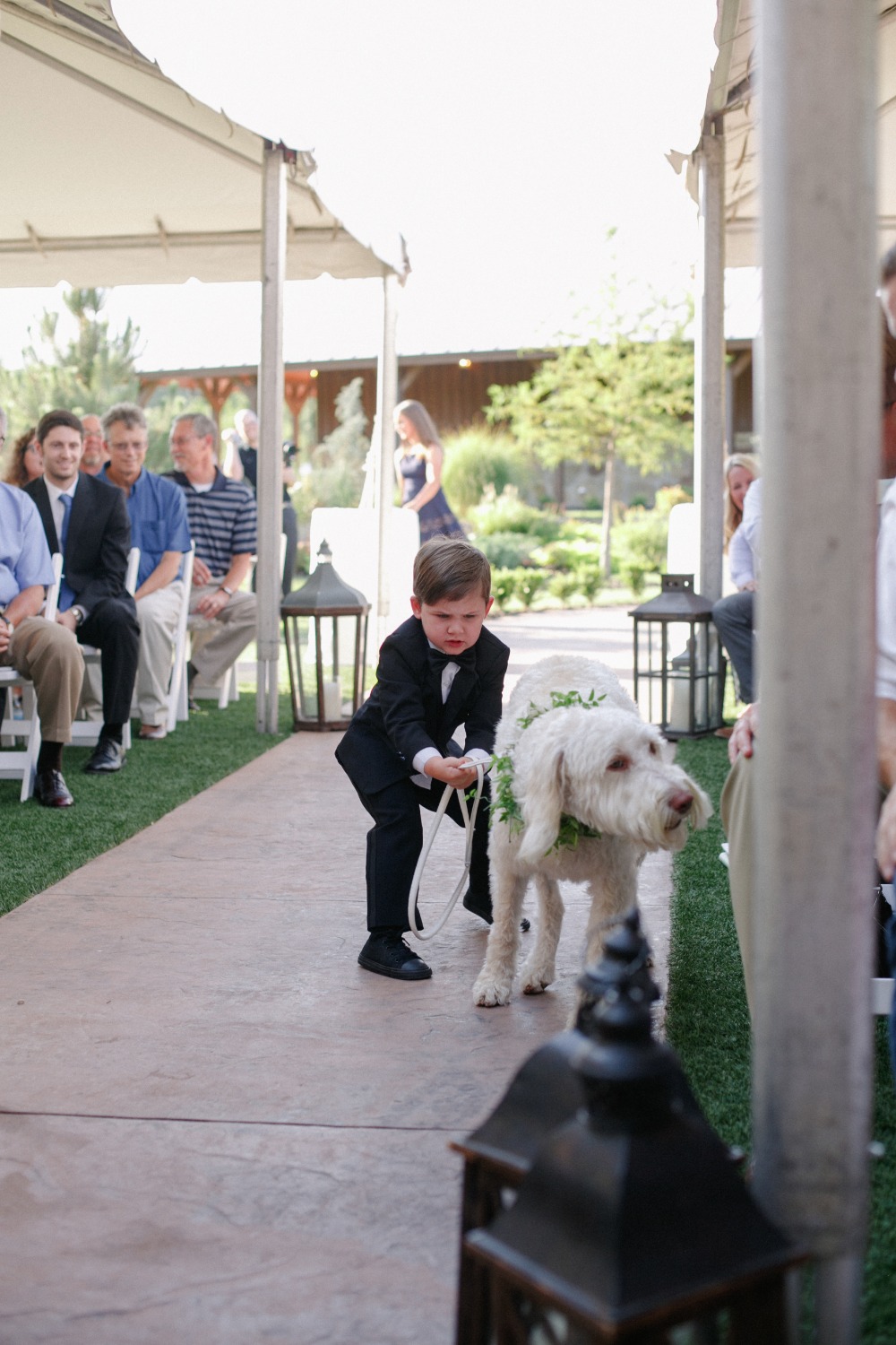 wedding-submission-from-amanda-watson