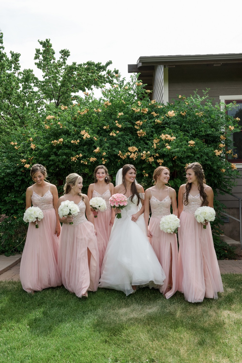 wedding-submission-from-cameron-amp