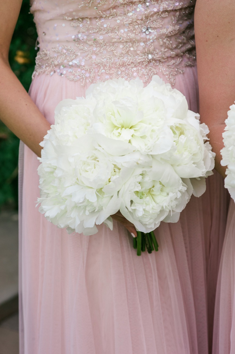 wedding-submission-from-cameron-amp