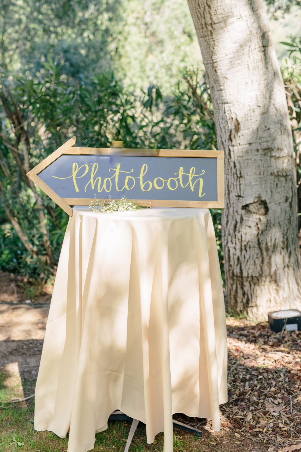 wedding-submission-from-chabeli-sanchez