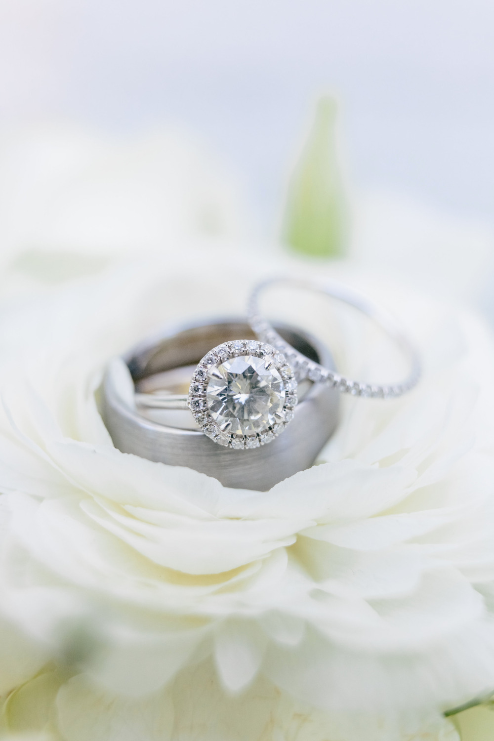 wedding-submission-from-chabeli-sanchez