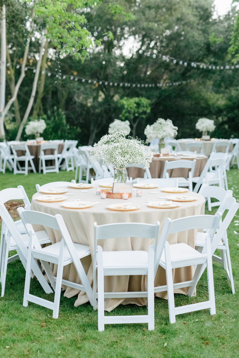 wedding-submission-from-chabeli-sanchez