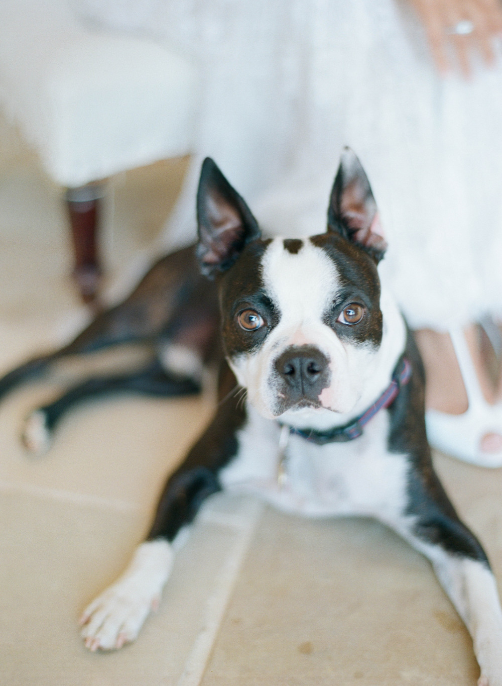 wedding-submission-from-elizabeth