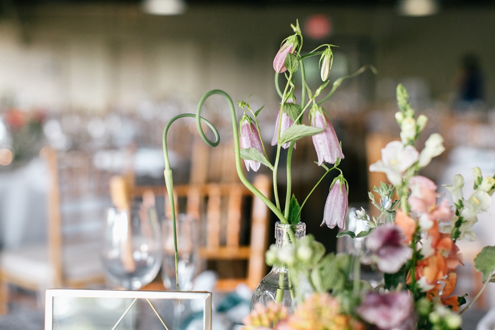 wedding-submission-from-emily-wren