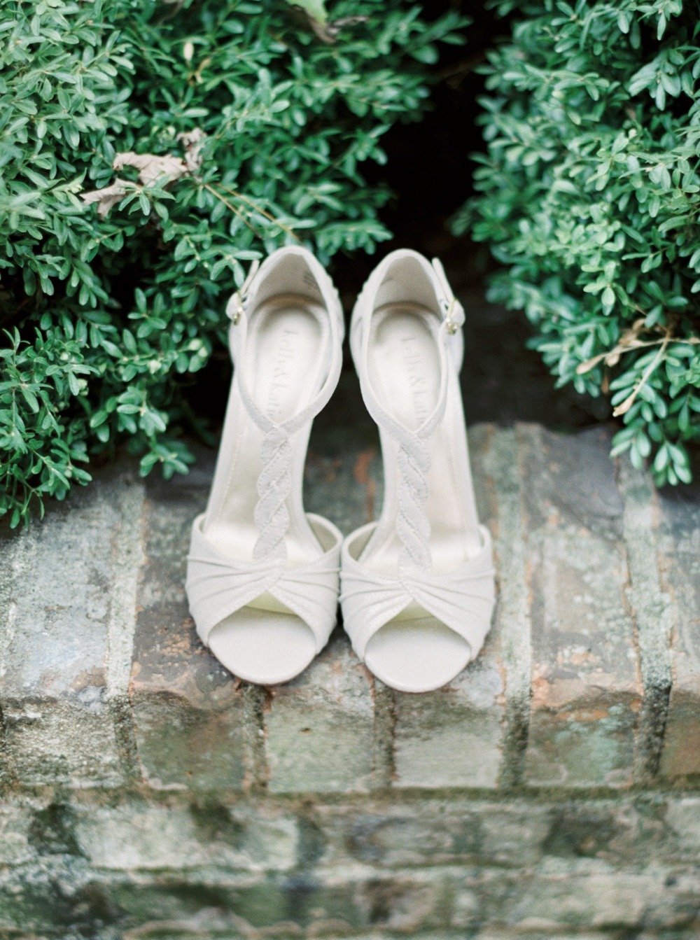 wedding-submission-from-kelli-wellman