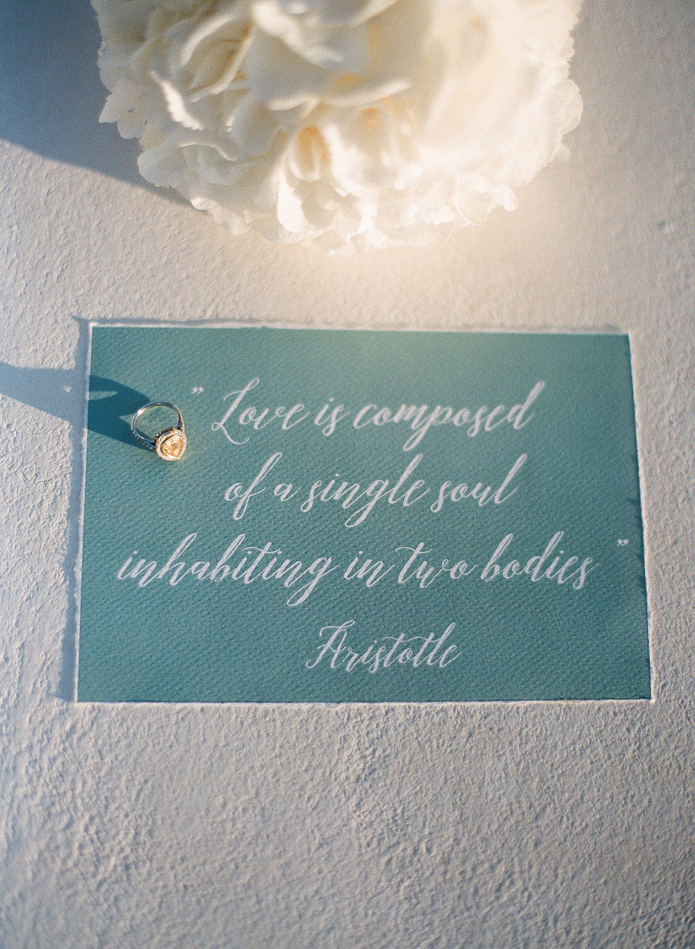 Aristotle love quote wedding sign