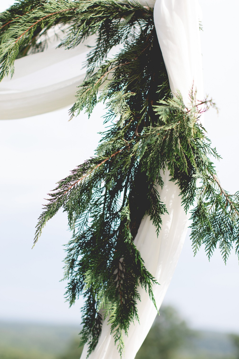 wedding-submission-from-something-new