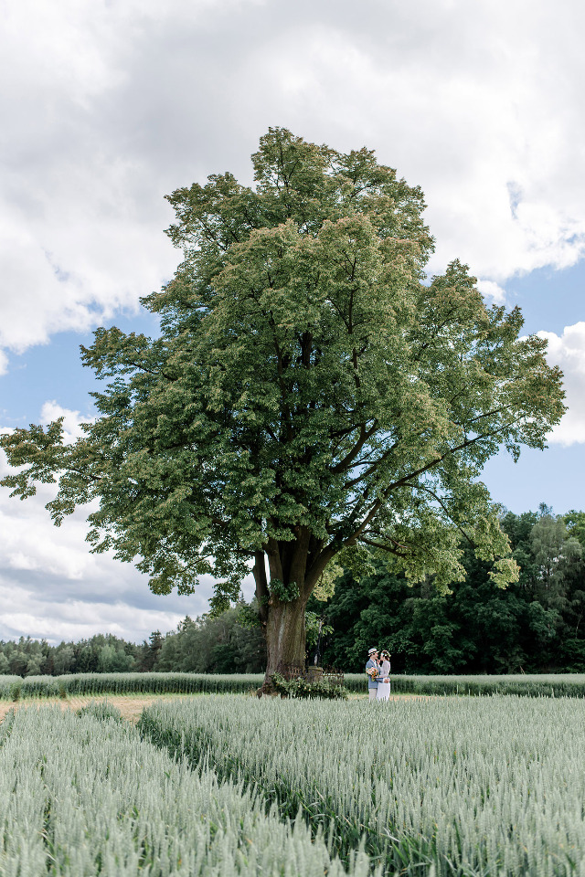 wedding ceremony in a field with a tree