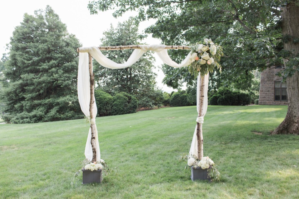 Birch tree arbor
