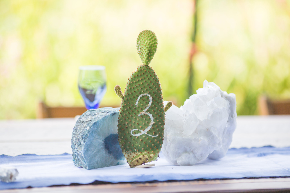 this-wedding-rocks-like-literally