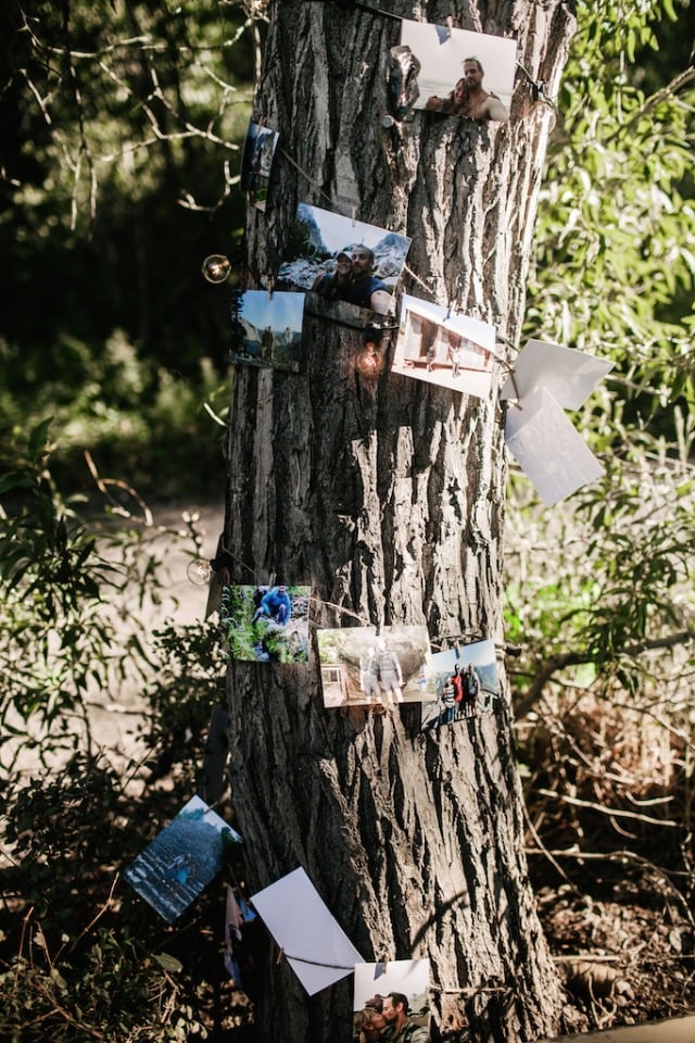 Wrap lights around a tree to hang photos from