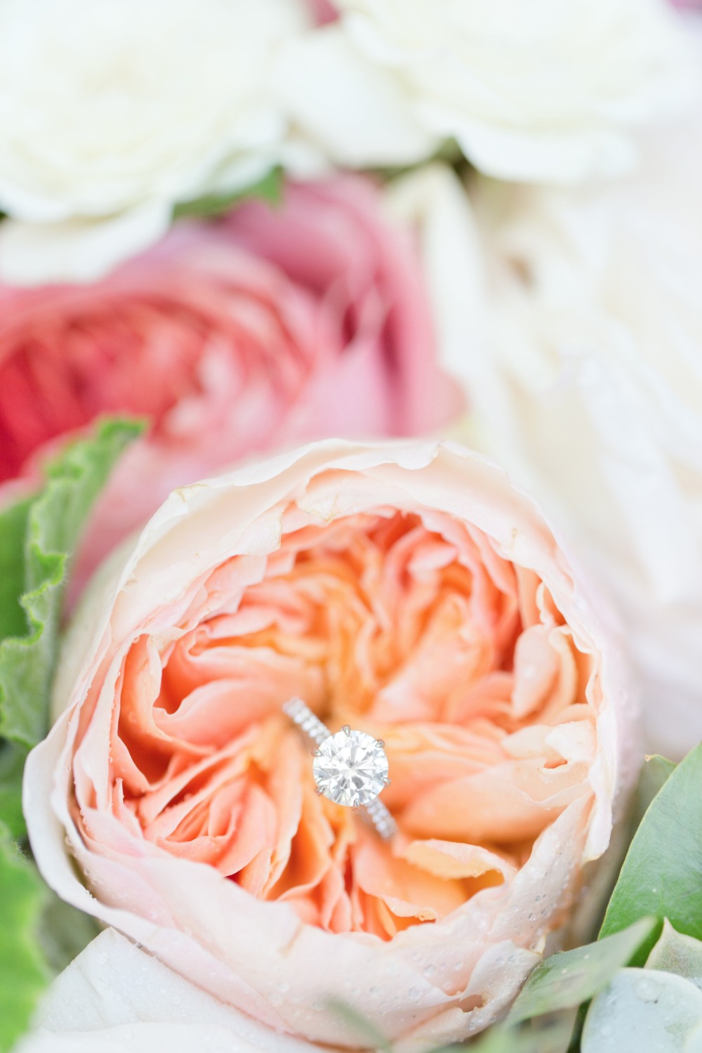 wedding-submission-from-amy-amp