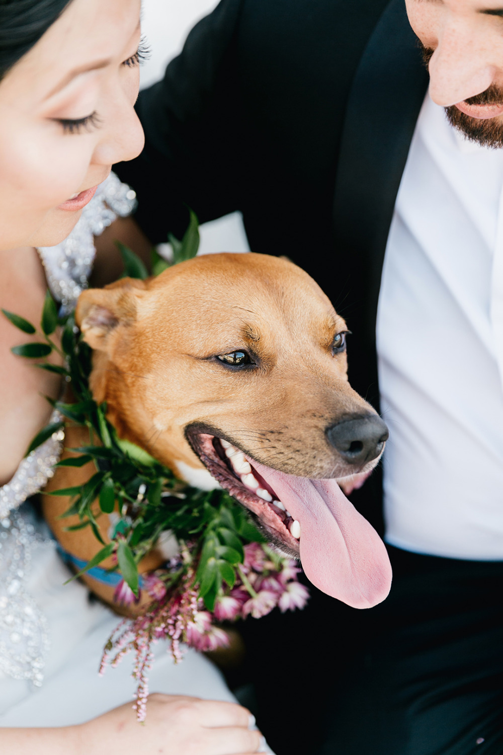 wedding-submission-from-emily-wren