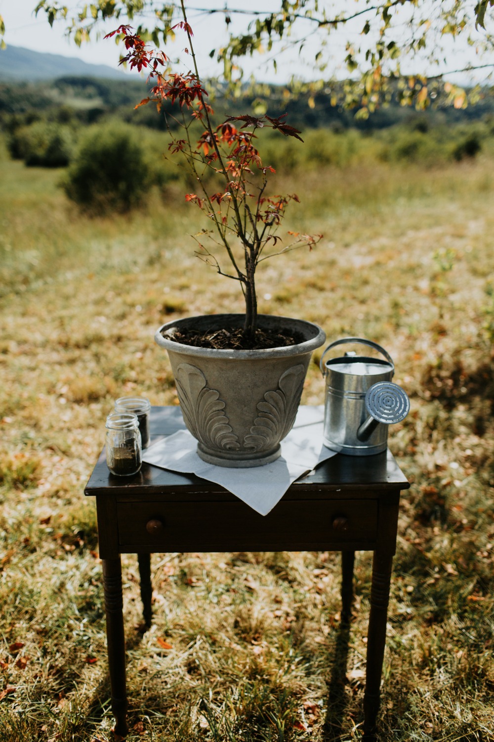 wedding-submission-from-folklife