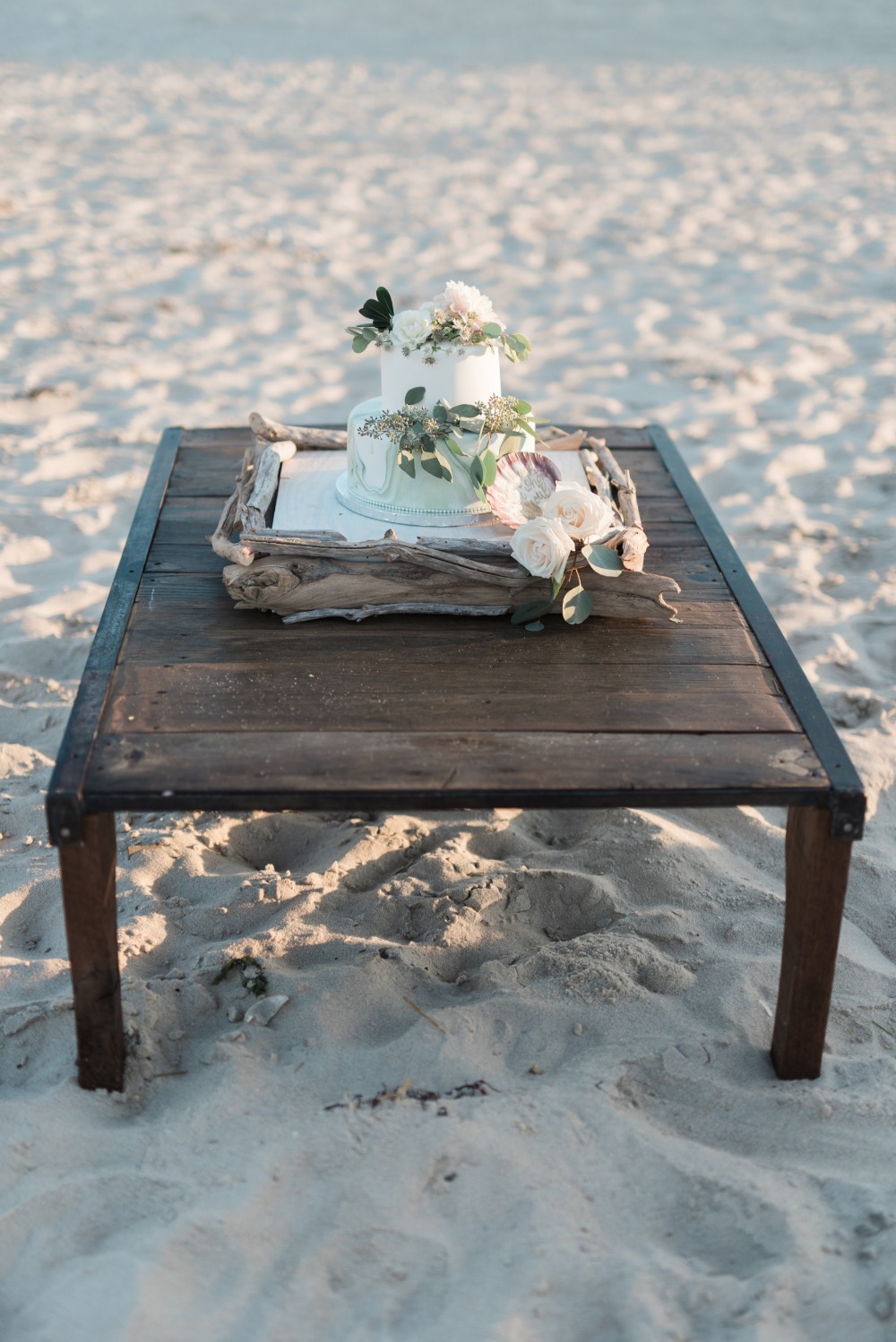 wedding-submission-from-megan-dramis