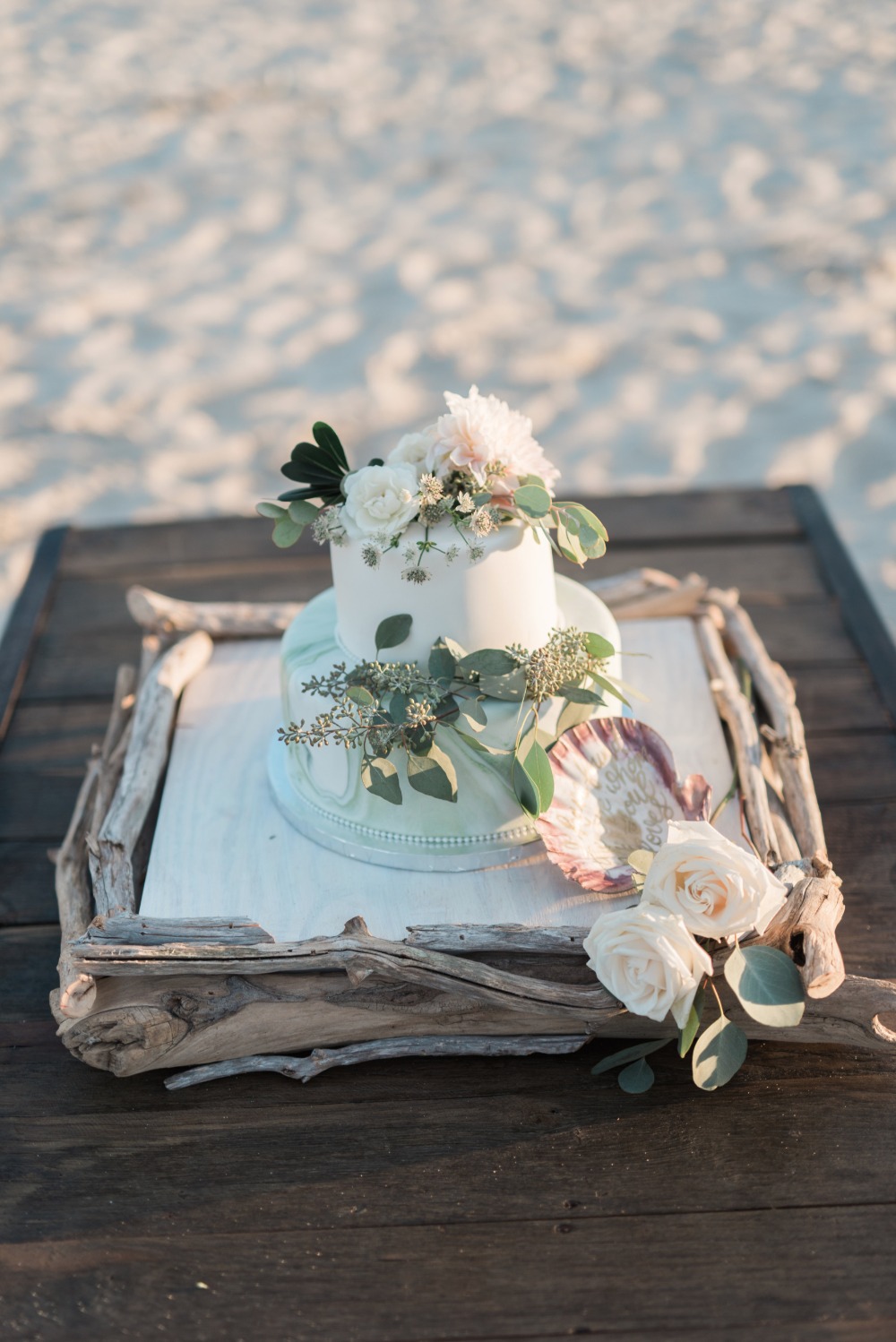 wedding-submission-from-megan-dramis