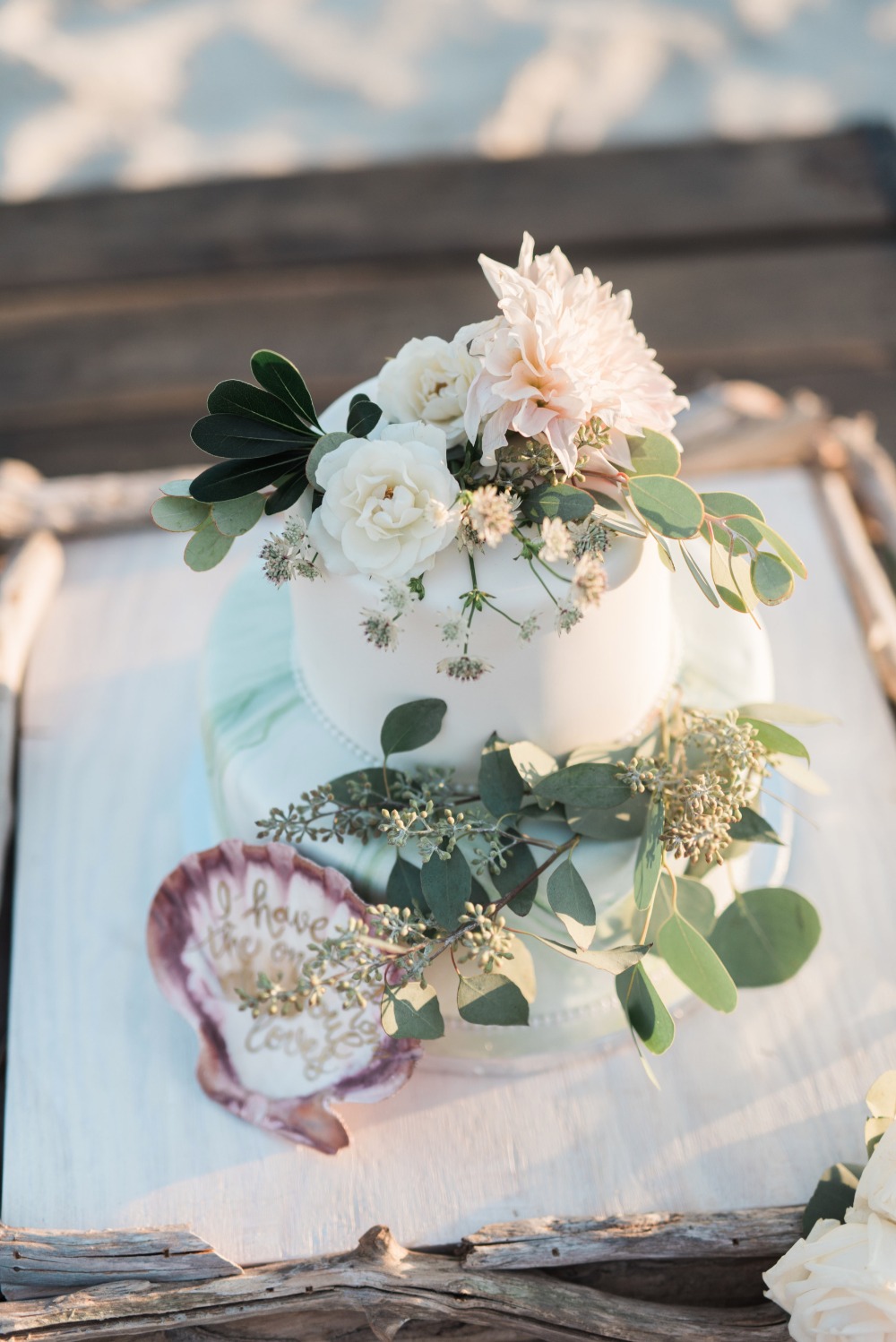 wedding-submission-from-megan-dramis