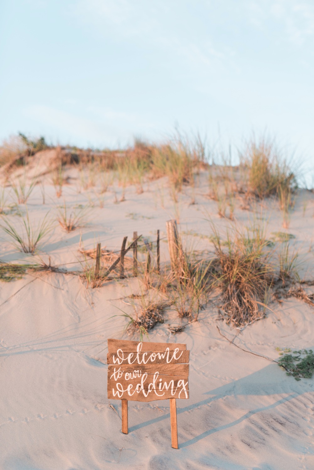 wedding-submission-from-megan-dramis