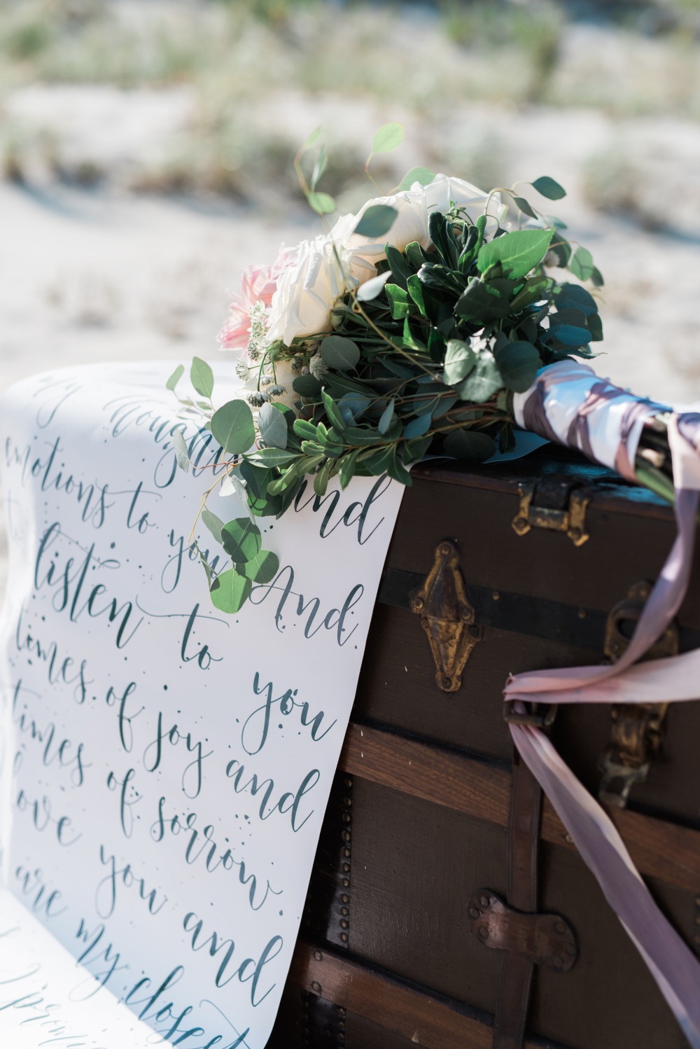 wedding-submission-from-megan-dramis