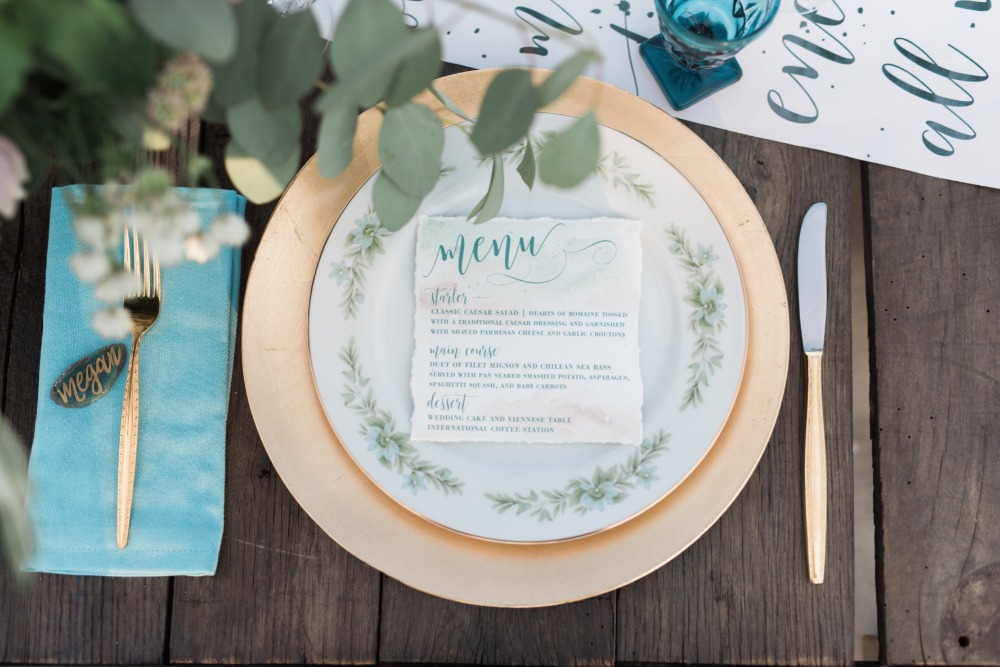 wedding-submission-from-megan-dramis