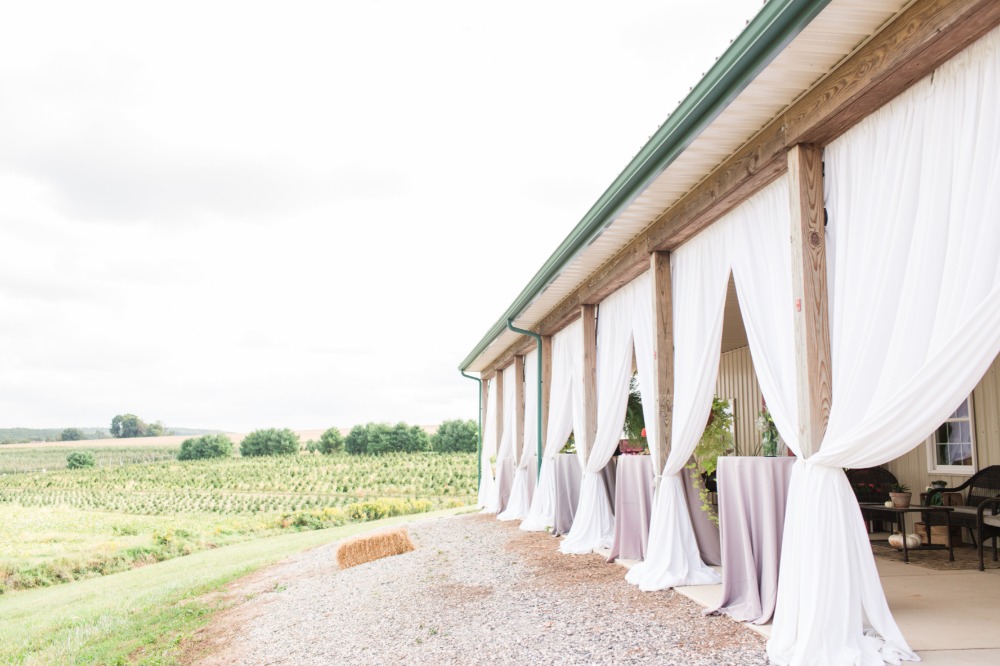 wedding-submission-from-stacey-lynn