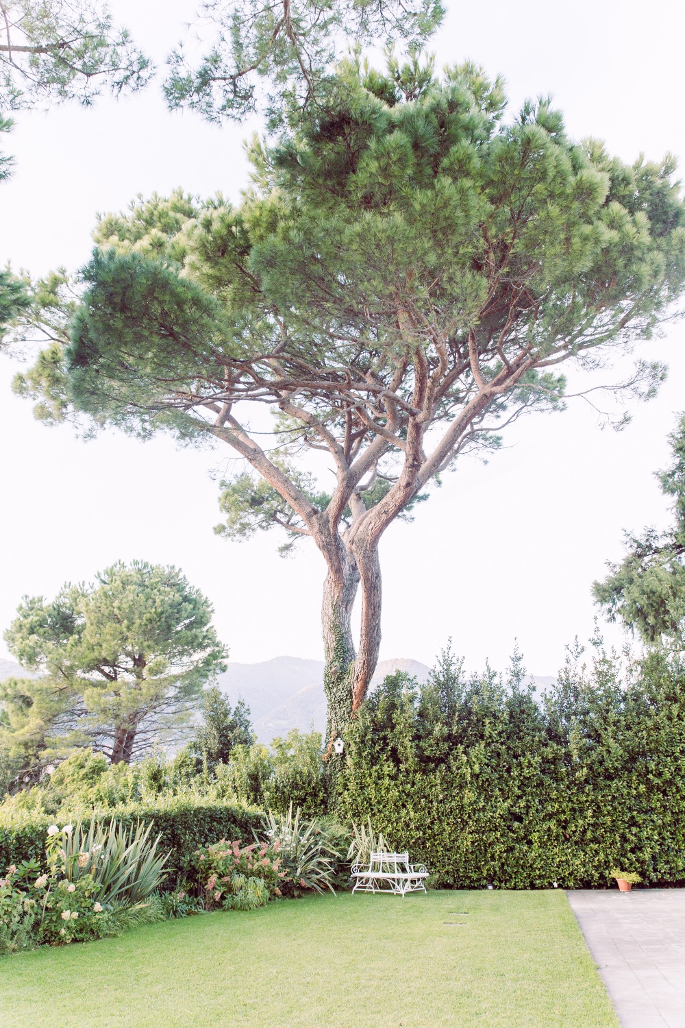 wedding-submission-from-stilvolles
