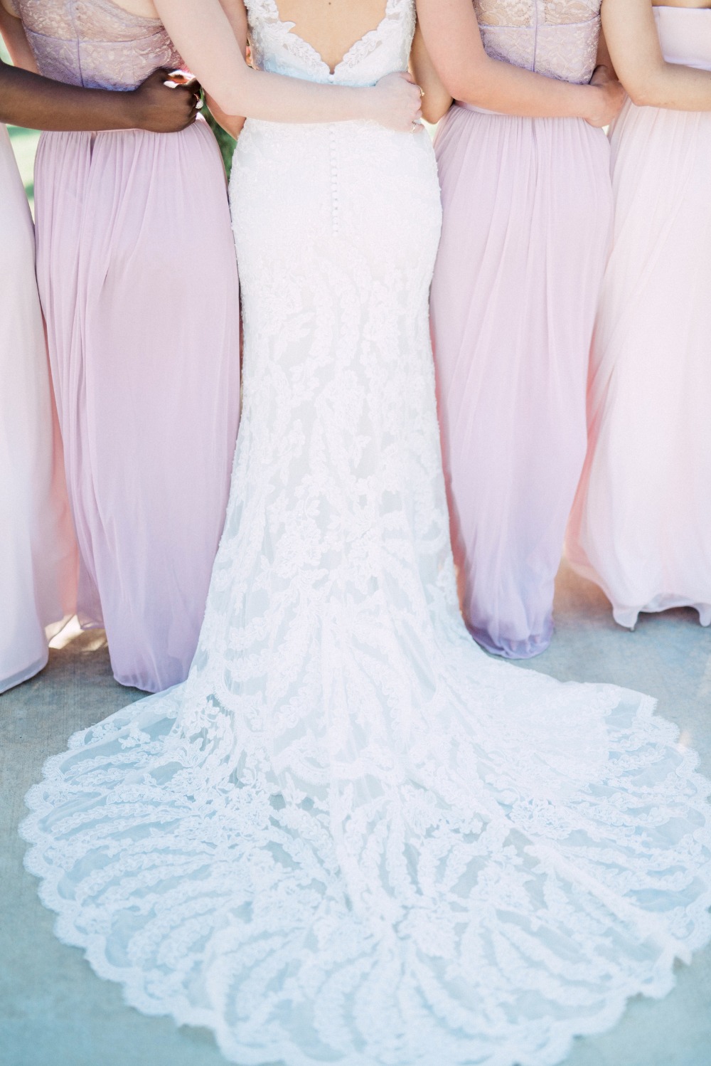 wedding-submission-from-whiskers-and