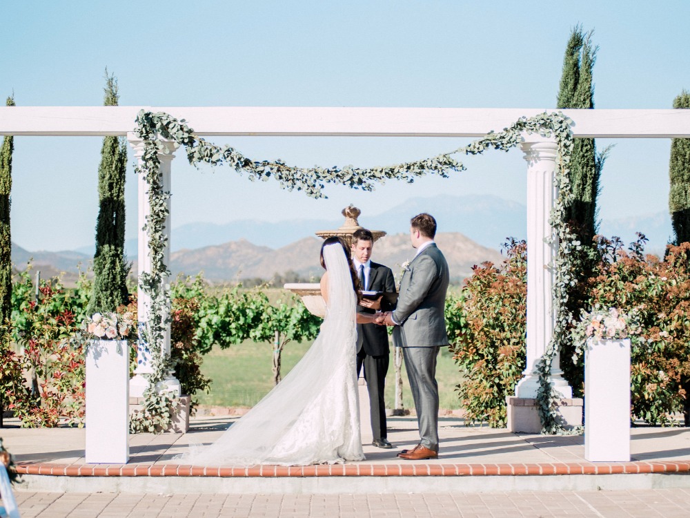 wedding-submission-from-whiskers-and