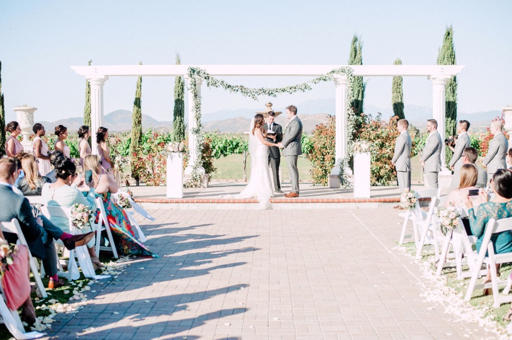 wedding-submission-from-whiskers-and