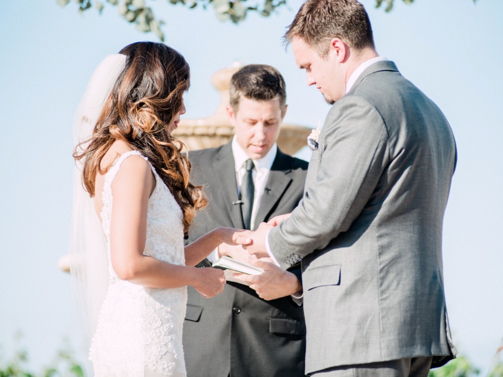 wedding-submission-from-whiskers-and