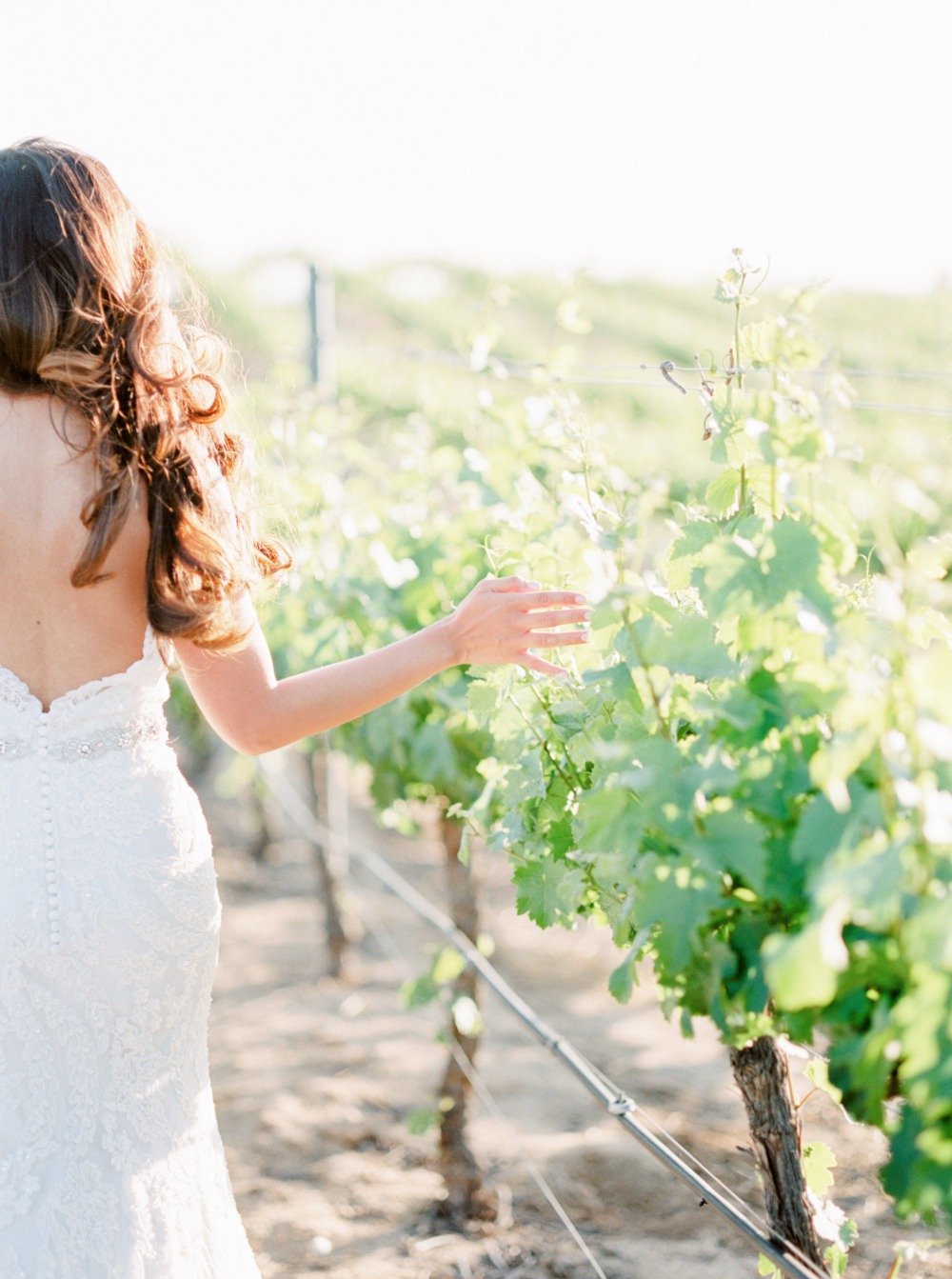 wedding-submission-from-whiskers-and