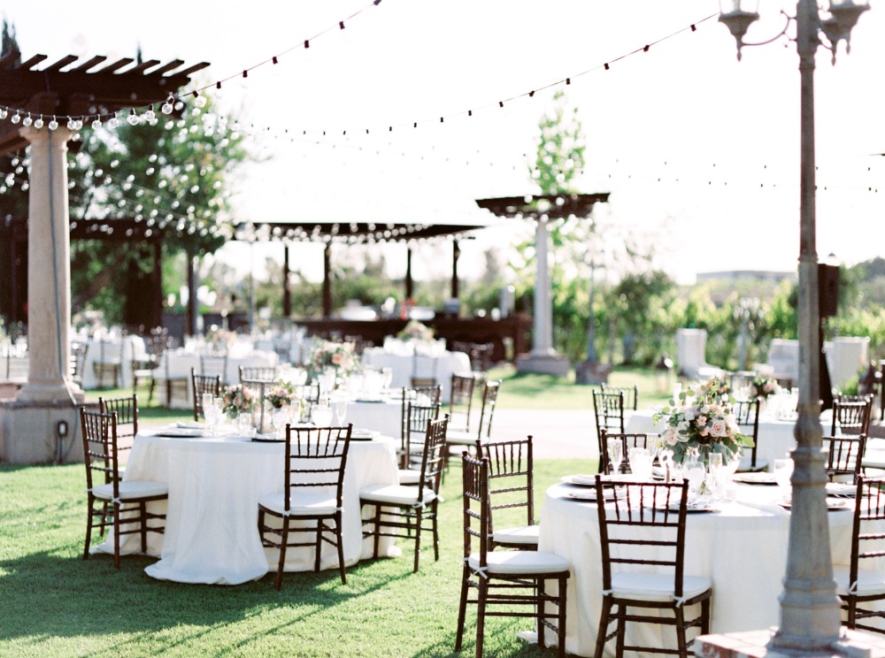 wedding-submission-from-whiskers-and