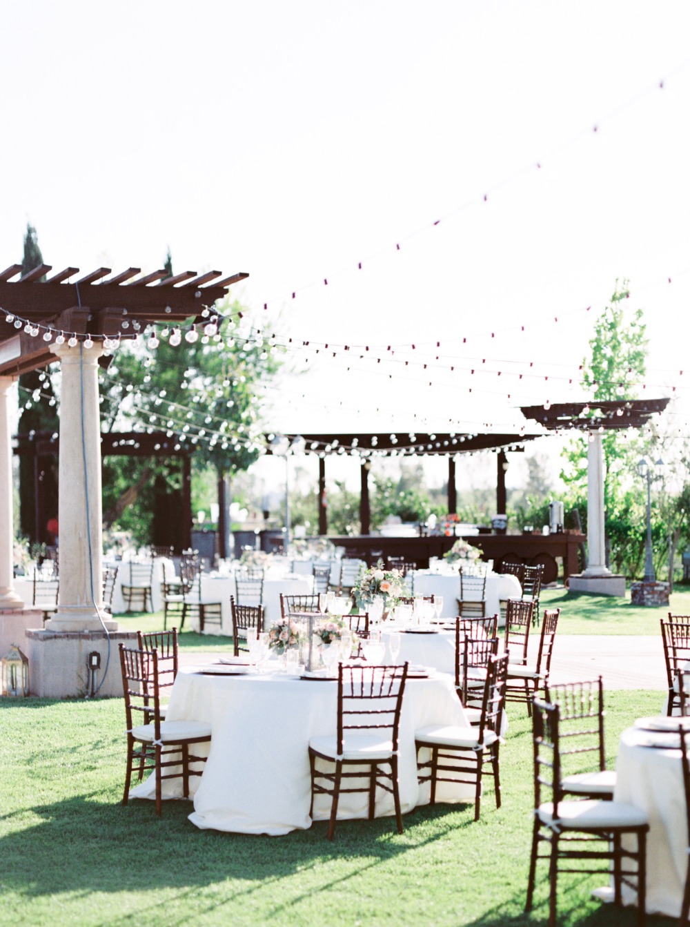 wedding-submission-from-whiskers-and