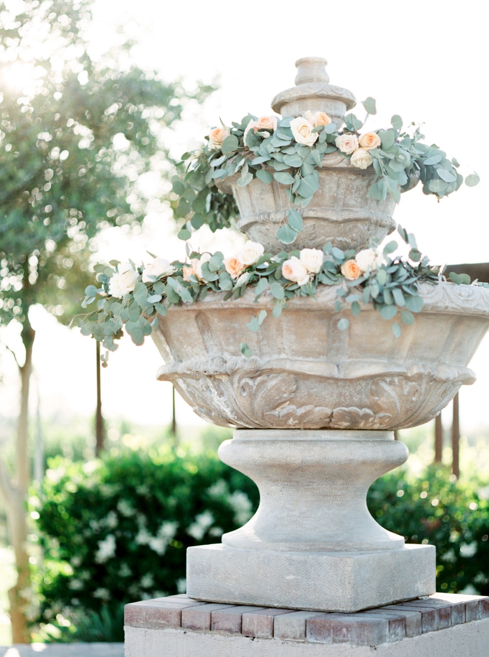 wedding-submission-from-whiskers-and