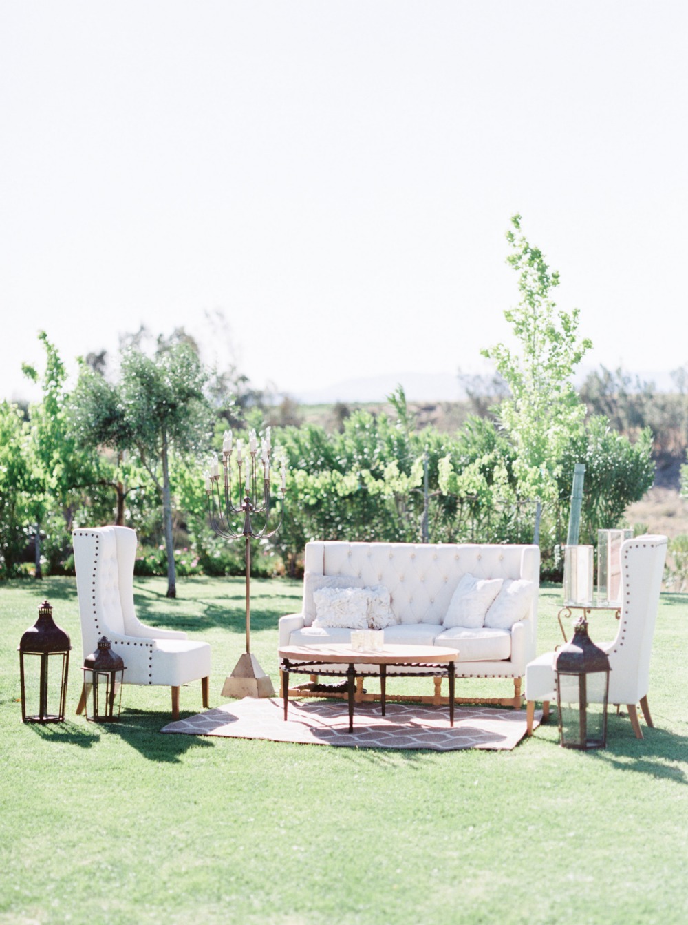 wedding-submission-from-whiskers-and