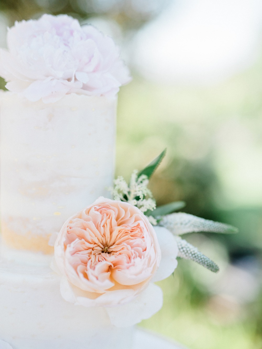 wedding-submission-from-whiskers-and