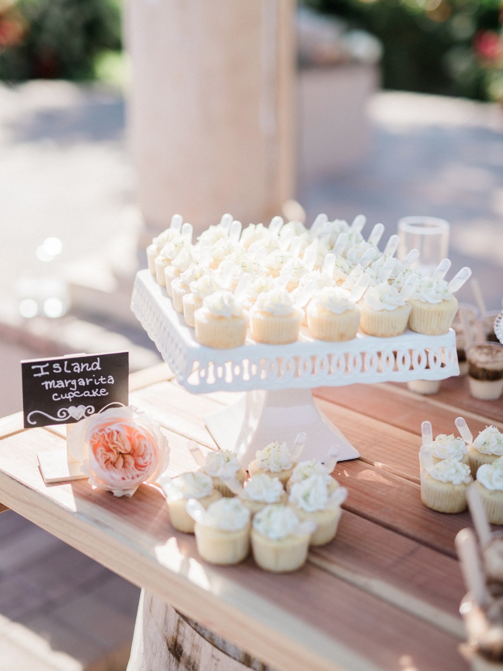 wedding-submission-from-whiskers-and