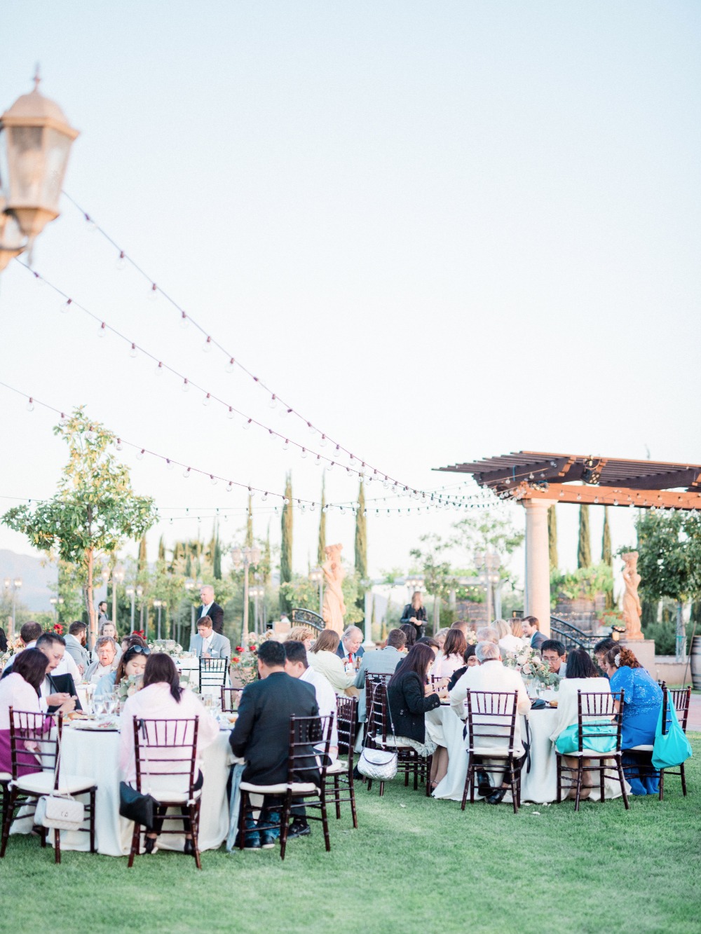 wedding-submission-from-whiskers-and
