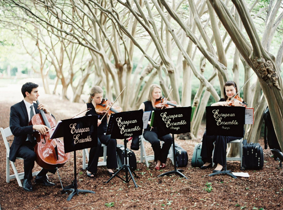 string orchestra for your wedding