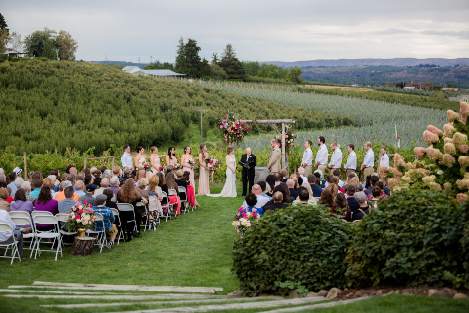 beautiful vineyard wedding ceremony venue