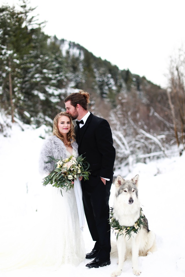 bride and groom and a wedding wolf dog